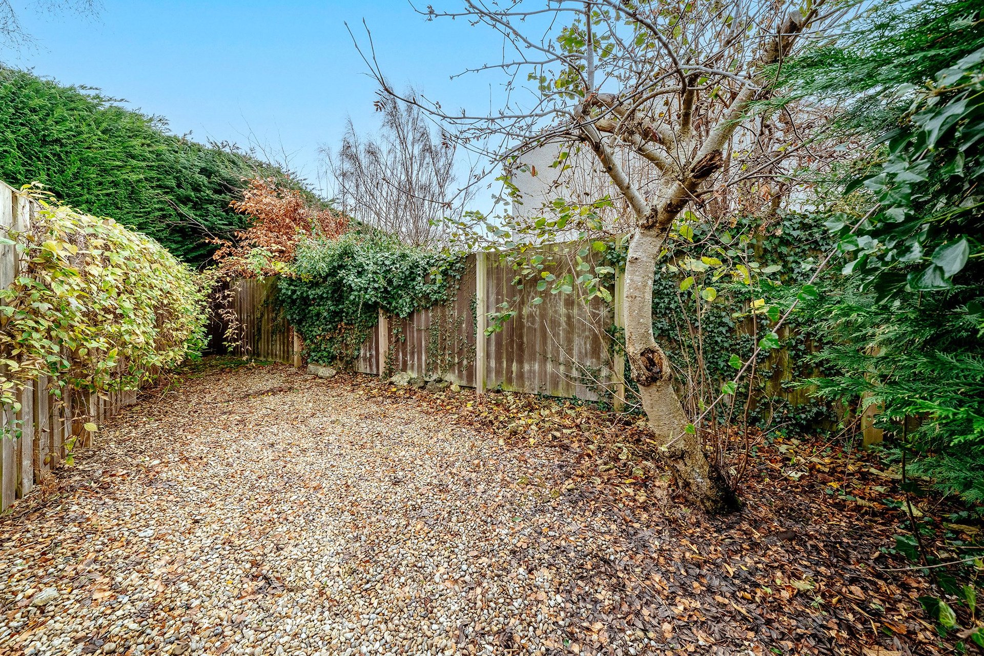 78 Woodfield Avenue, Edinburgh, EH13 0QP - Picture #20