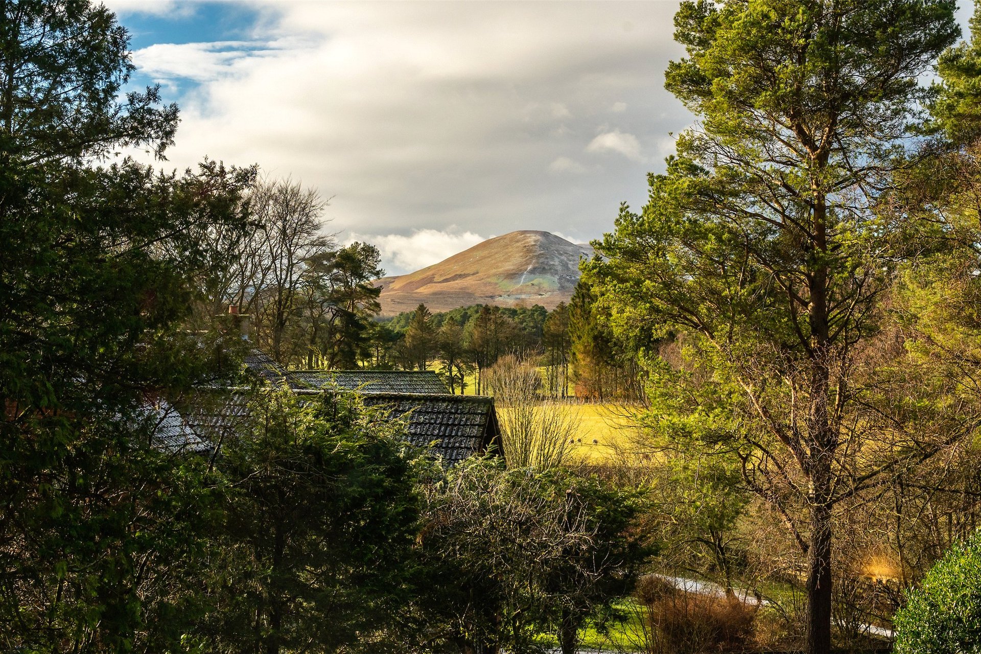 Greenways, Medwyn Road, West Linton, Peeblesshire, EH46 7HA - Picture #33