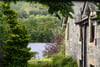 Neish House, St. Fillans, Crieff, Perthshire, PH6 2NF - Picture #24