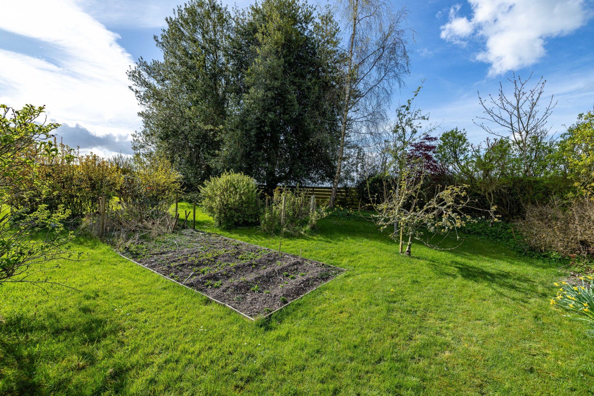 Athole Cottage, Kirkton, Hawick, Scottish Borders, TD9 8QJ - Picture #19