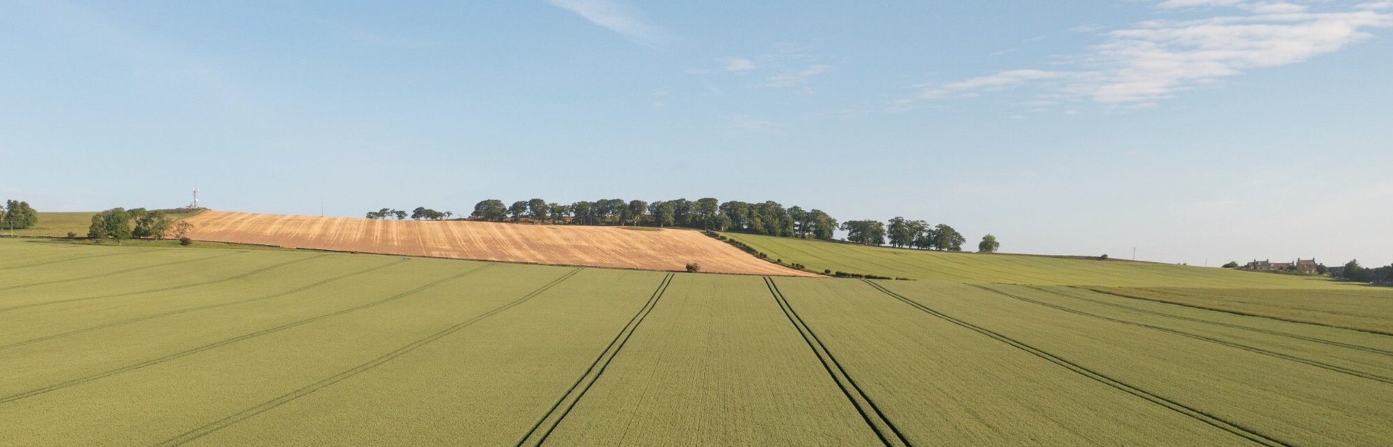 Amisfield Mains arable crop field.