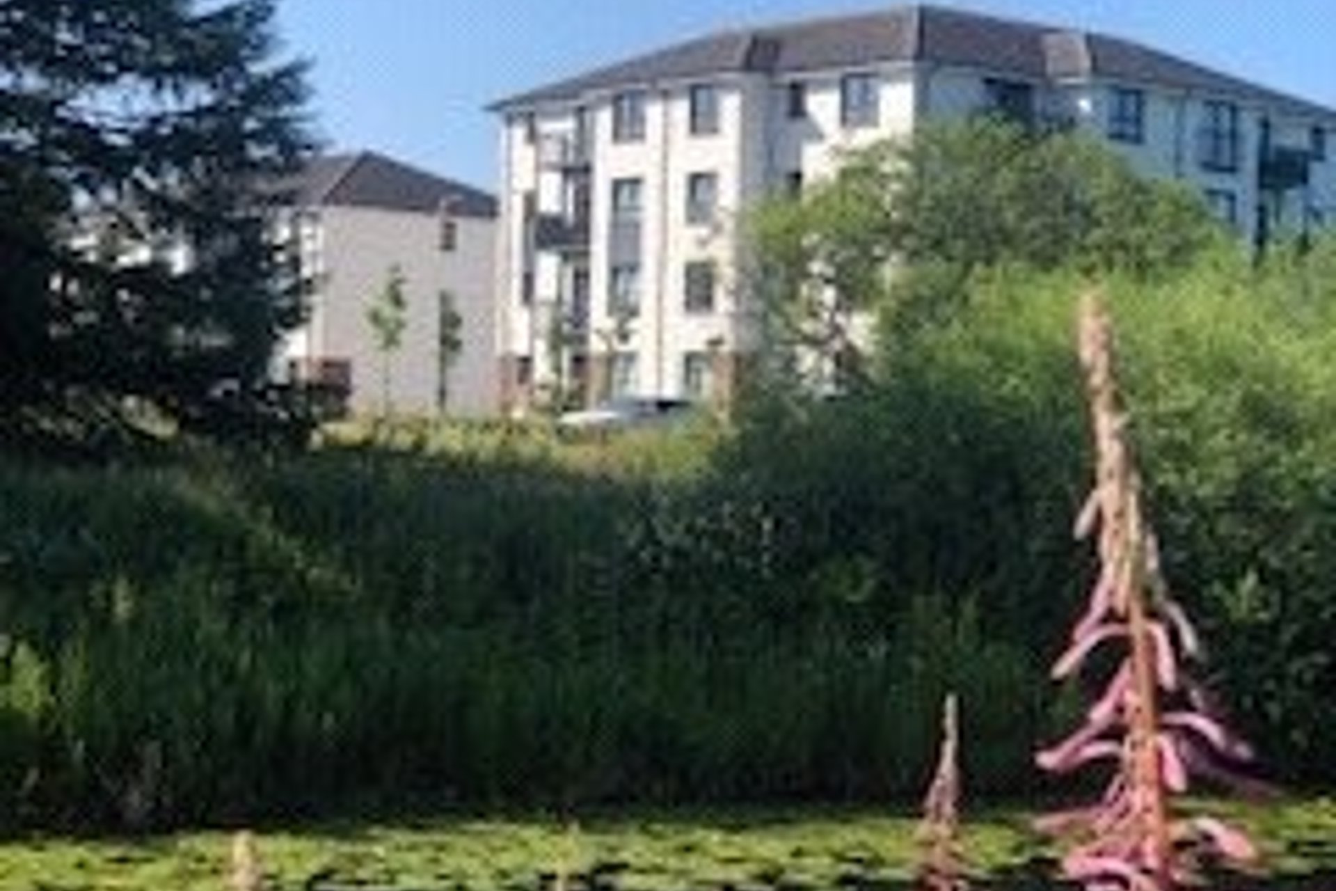 Flat 3/4, 38 Towing Drive, Bishopbriggs, Glasgow, East Dunbartonshire, G64 3NR - Picture #28