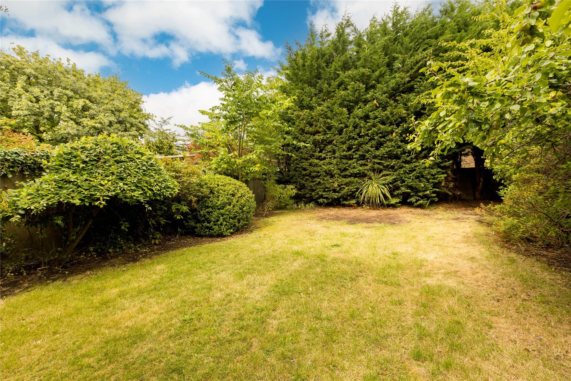 3a Queen's Crescent, Newington, Edinburgh, EH9 2AZ - Picture #22