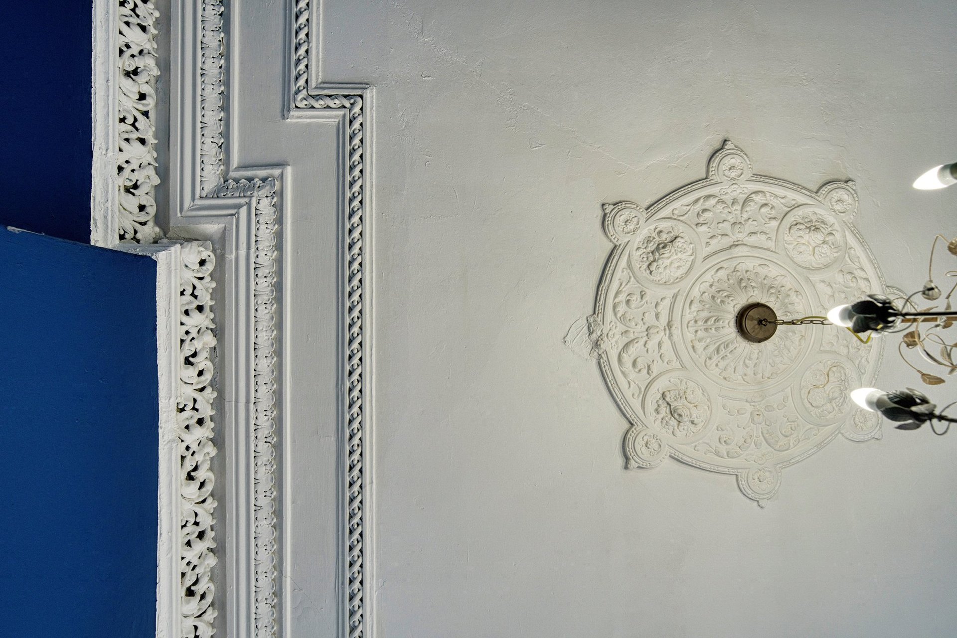 3/1, 15 Albert Road, Queens Park, Glasgow, G42 8DL - Picture #10