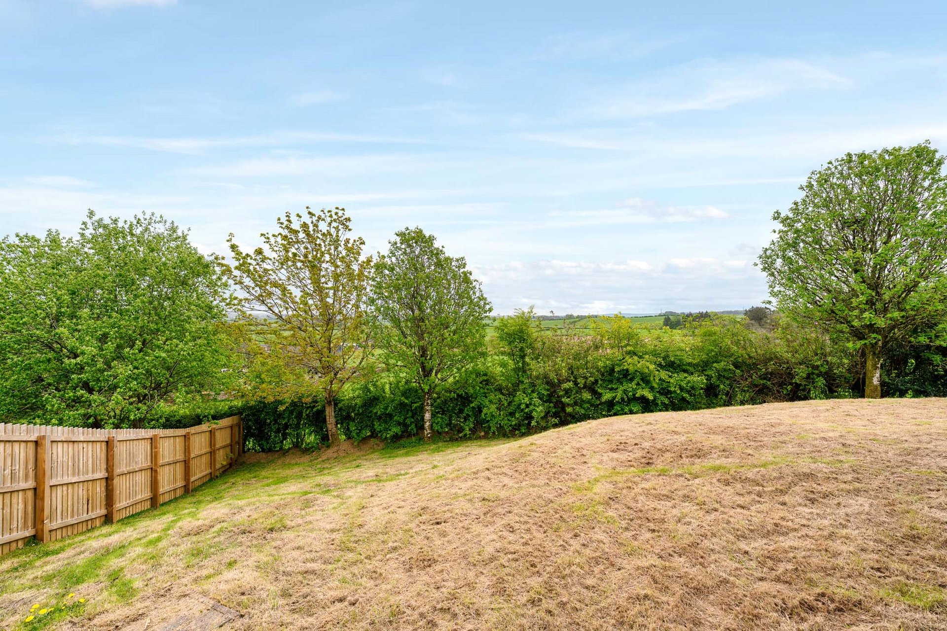 8 Whitehill Grove, Newton Mearns, Glasgow, East Renfrewshire, G77 5DH - Picture #31