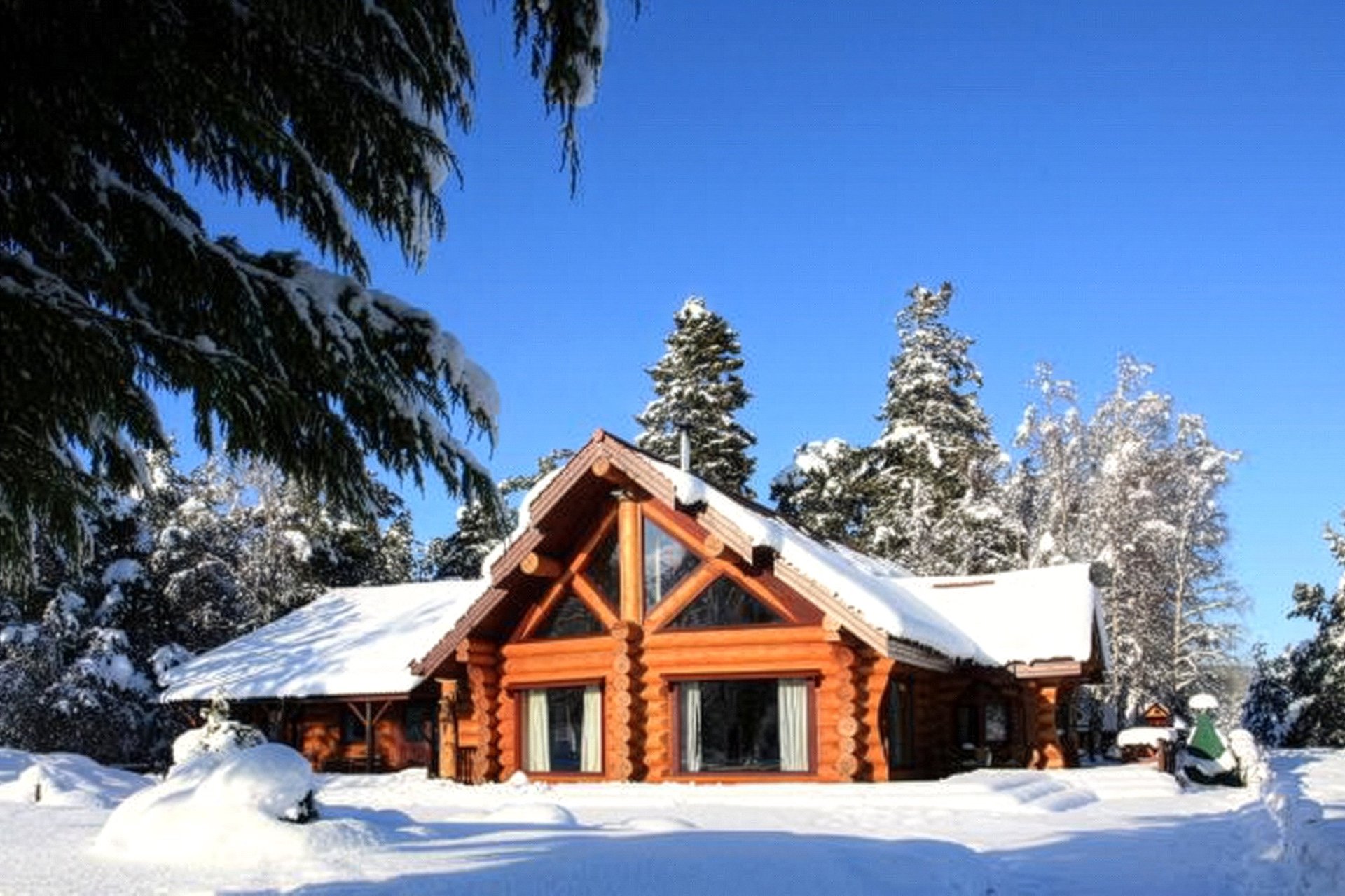 Mountain Bear Lodge, Nethy Bridge, Inverness-Shire, PH25 3DY - Picture #5