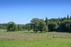 Dolphinton House Estate, Dolphinton, West Linton, South Lanarkshire, EH46 7AB - Picture #51