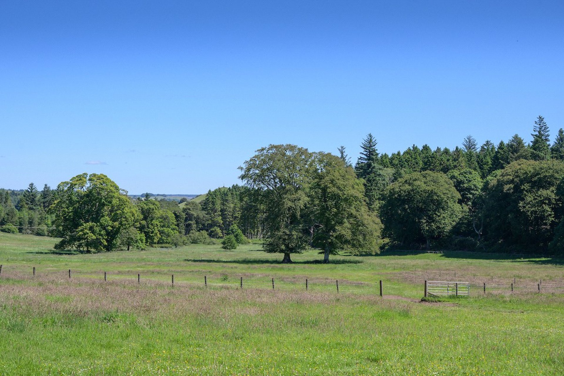 Dolphinton House Estate, Dolphinton, West Linton, South Lanarkshire, EH46 7AB - Picture #51