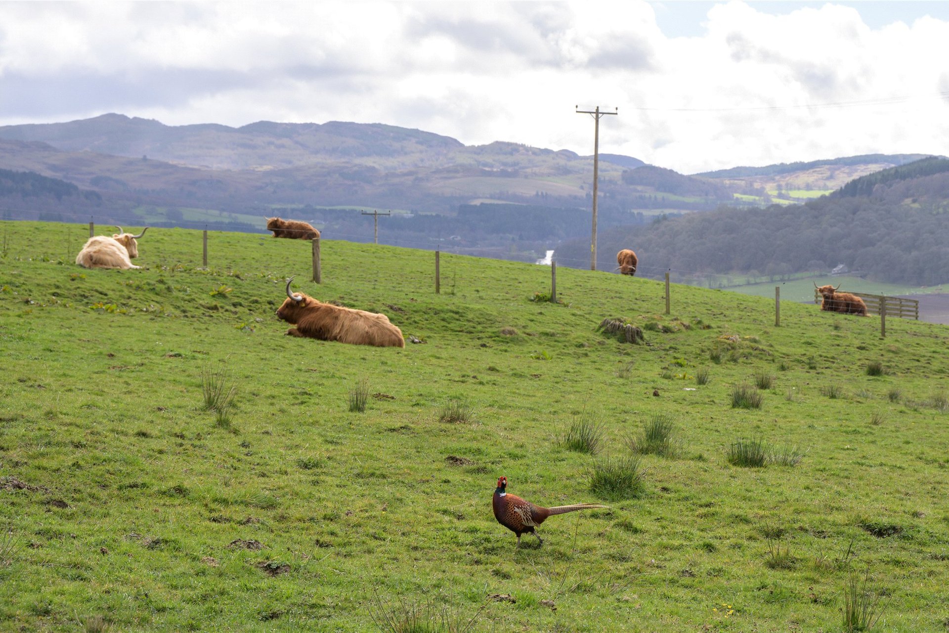 Eastertyre, Ballinluig, Pitlochry, PH9 0LN - Picture #43
