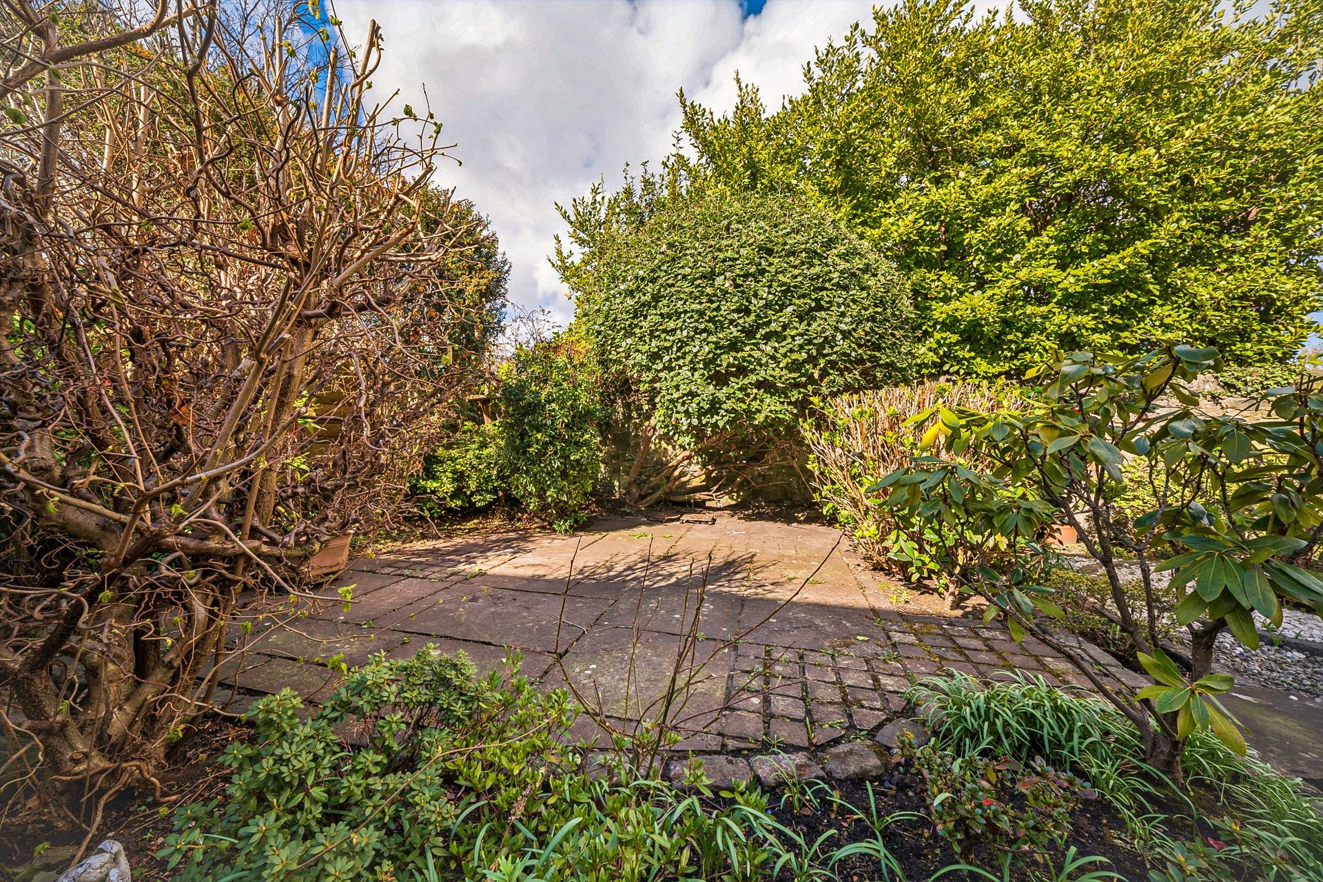 8A Park Road, Edinburgh, EH6 4LF - Picture #20