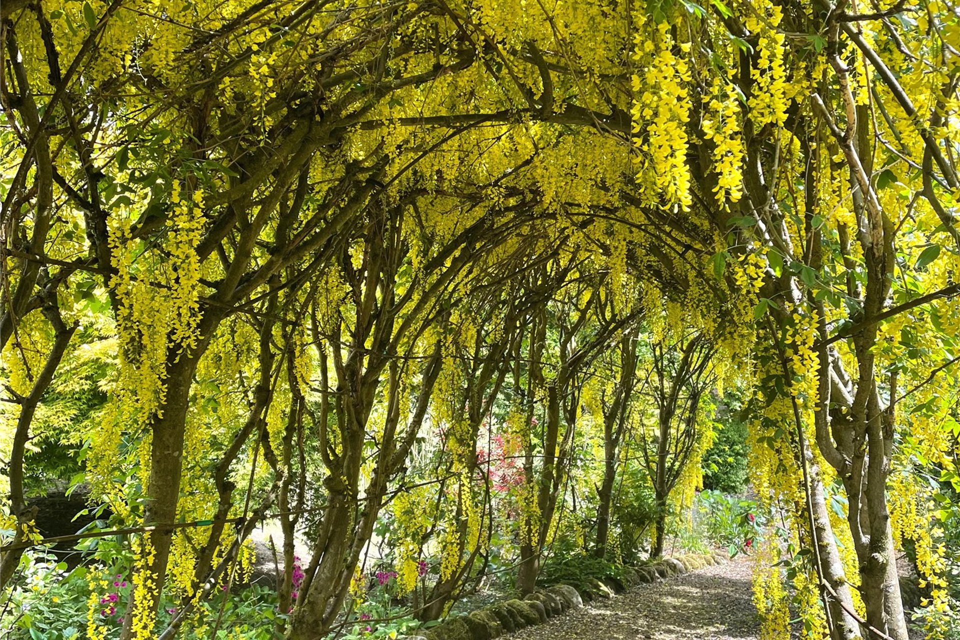 6 Inzievar Courtyard, Dunfermline, Fife, KY12 8HB - Picture #24