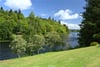 Broadgreen, Cargill, Perth, Perthshire, PH2 6DS - Picture #20