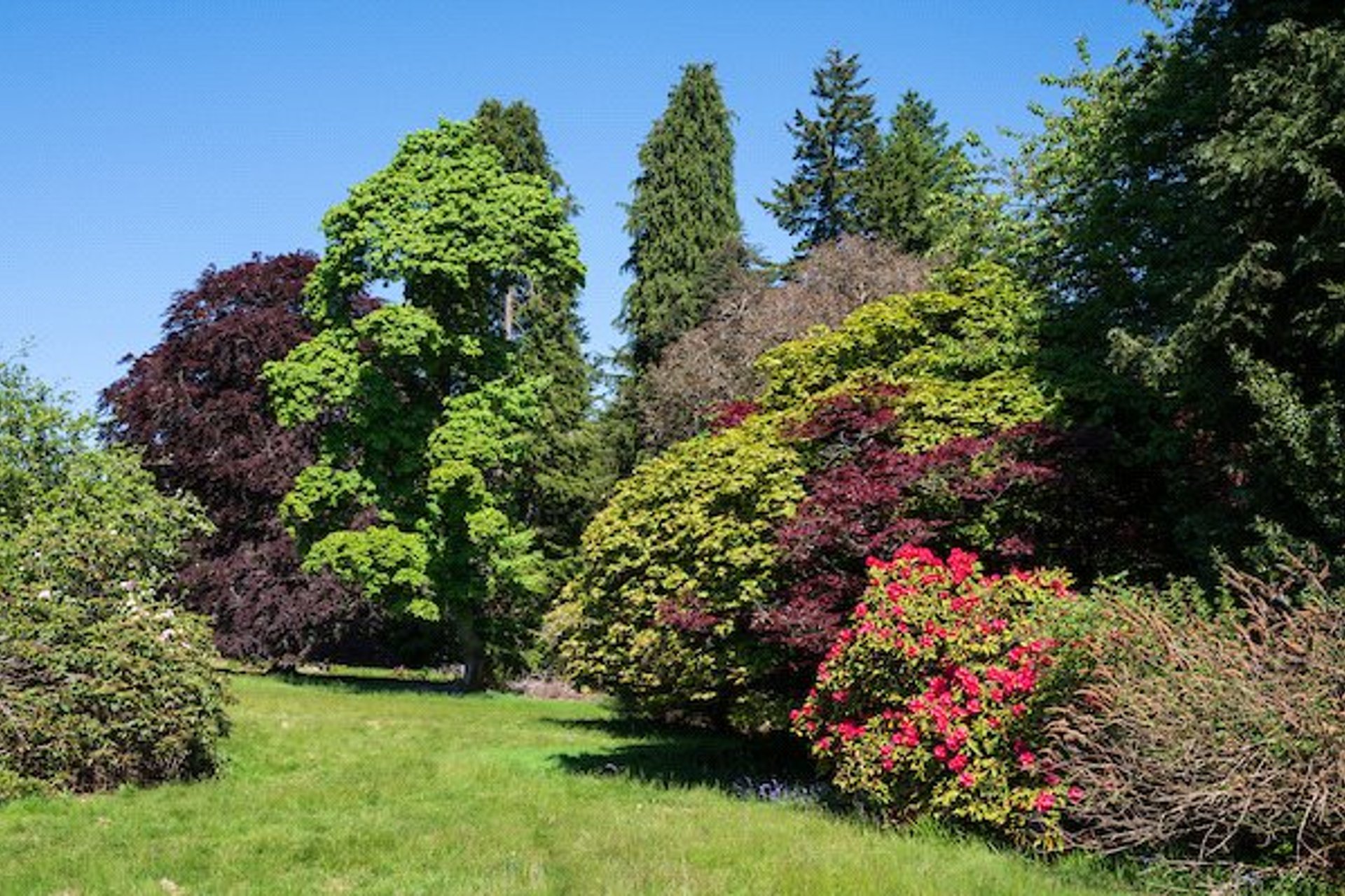 Drumearn House, The Ross, Comrie, Perthshire, PH6 2JR - Picture #9