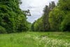Frizzels Wood House, Spott, Dunbar, East Lothian, EH42 1RN - Picture #25