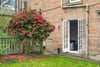 6C Oswald Road, The Grange, Edinburgh, EH9 2HF - Picture #27