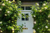 5 Tyneholm Cottages, Lempockwells Road, Pencaitland, East Lothian, EH34 5AD - Picture #18