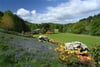 Broadgreen, Cargill, Perth, Perthshire, PH2 6DS - Picture #21