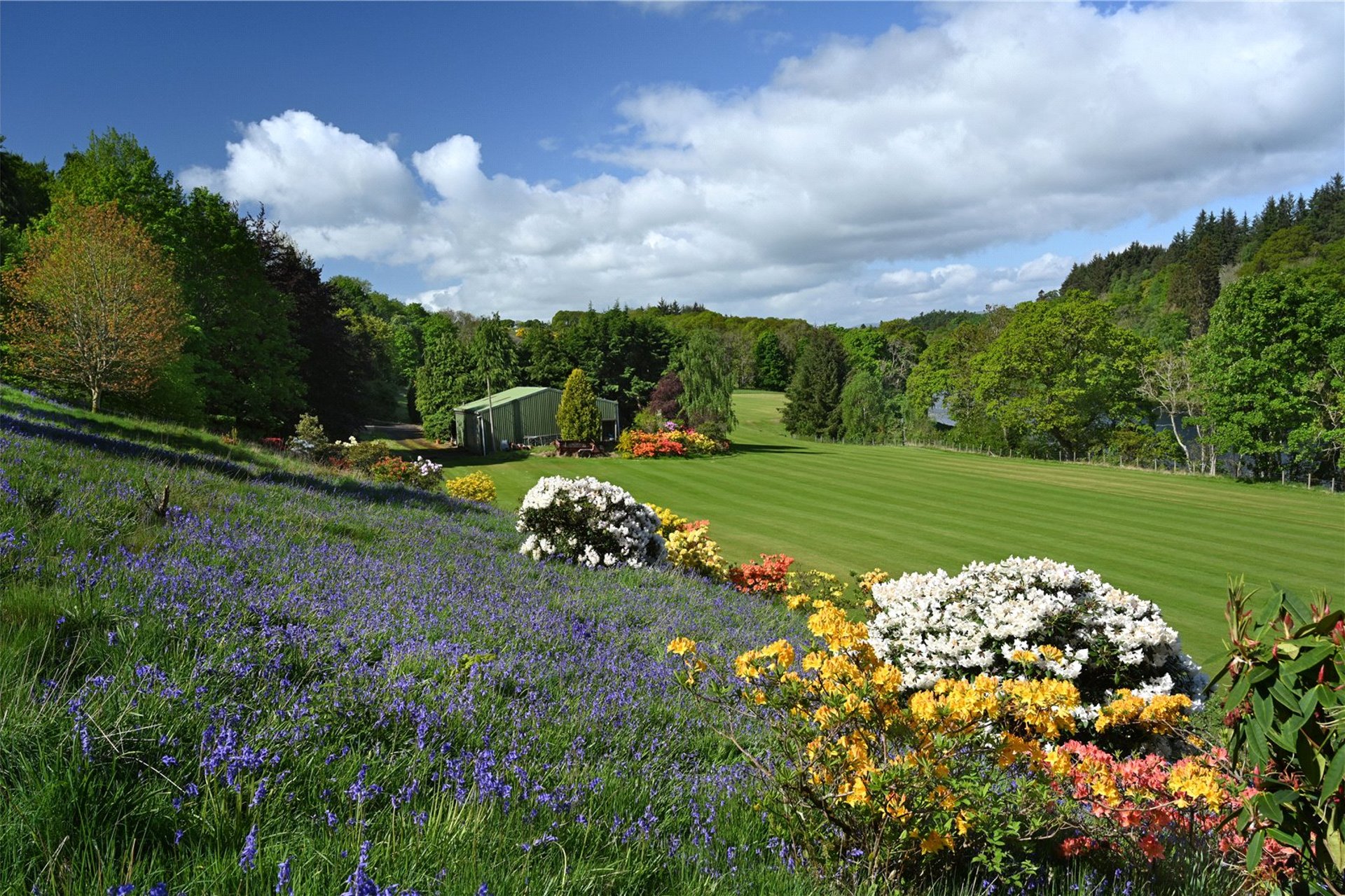 Broadgreen, Cargill, Perth, Perthshire, PH2 6DS - Picture #21