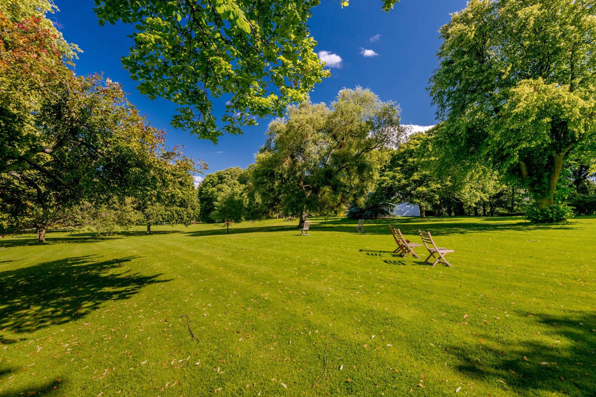 GF, 5 Belgrave Crescent, Edinburgh, EH4 3AQ - Picture #25