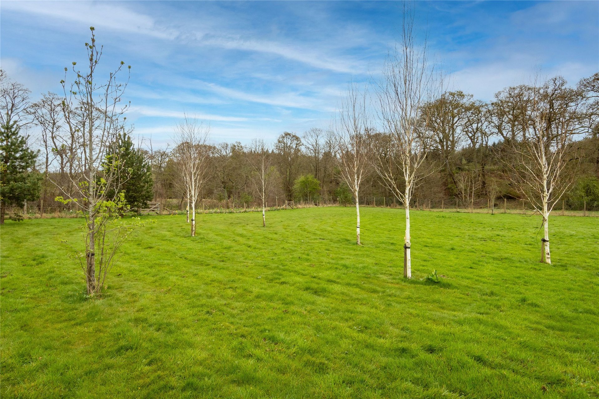 5 The Oaks, Moneydie, Luncarty, Perth, PH1 3HA - Picture #22