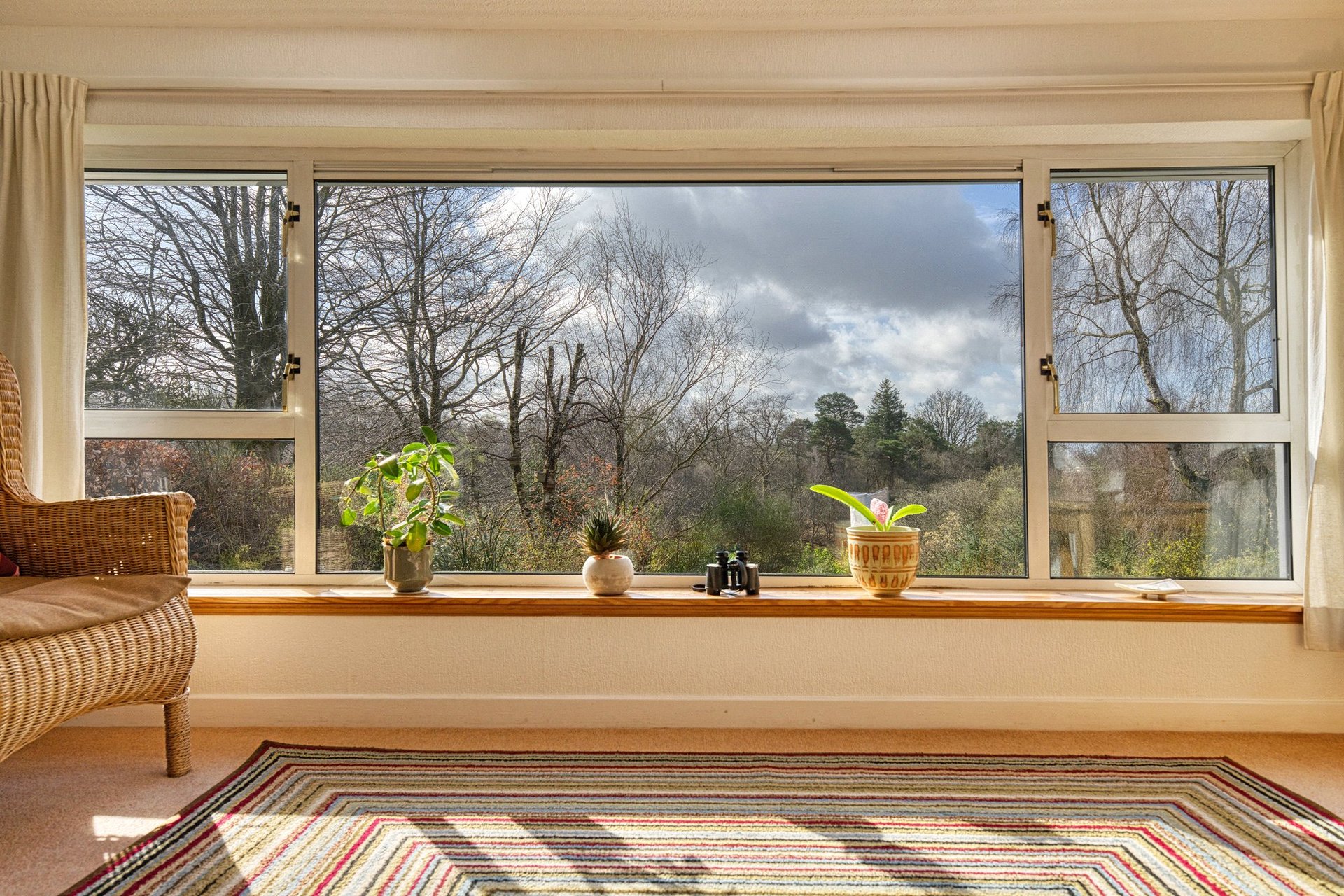 29 Lynn Drive, Milngavie, G62 8HL - Picture #12