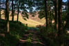The Ley, Innerleithen, Scottish Borders, EH44 6NL - Picture #70