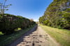 Whitehillfoot Farmhouse, Kelso, Scottish Borders, TD5 8LB - Picture #32