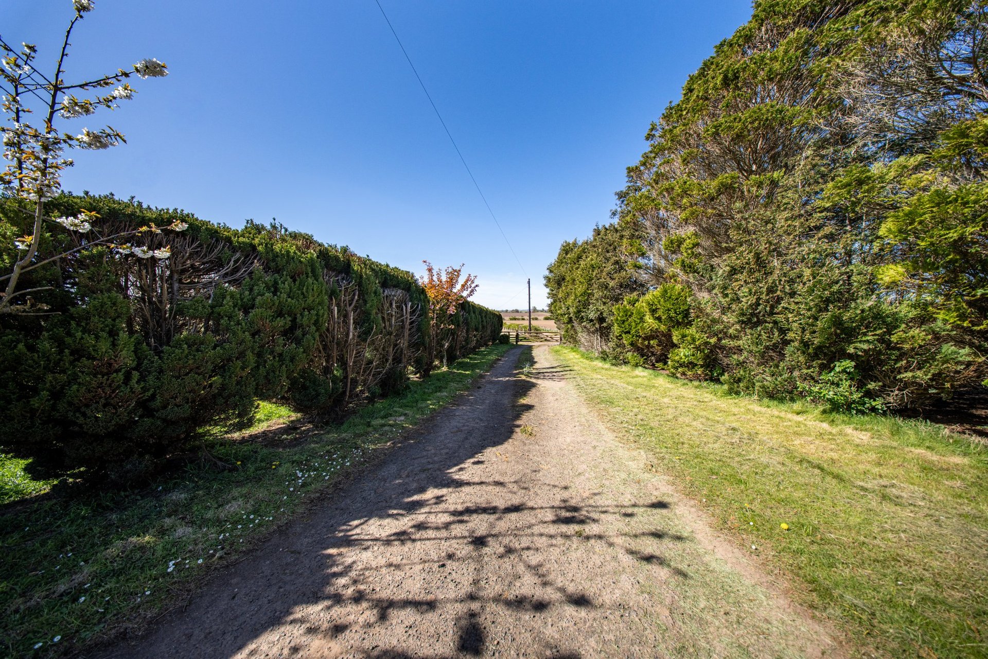 Whitehillfoot Farmhouse, Kelso, Scottish Borders, TD5 8LB - Picture #32
