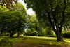 Whitehills House, Minnigaff, Newton Stewart, Dumfries and Galloway, DG8 6SL - Picture #22