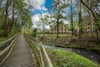 42 Old Dalmore Drive, Auchendinny, Penicuik, Midlothian, EH26 0NG - Picture #12