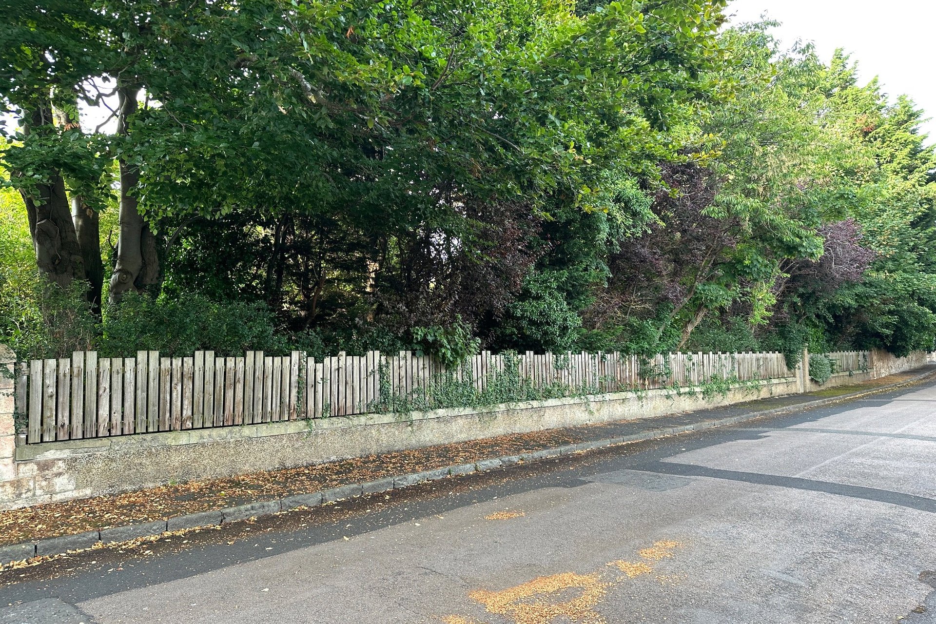 Residential Plot, Nisbet Road, Gullane, East Lothian, EH31 2BQ - Picture #5