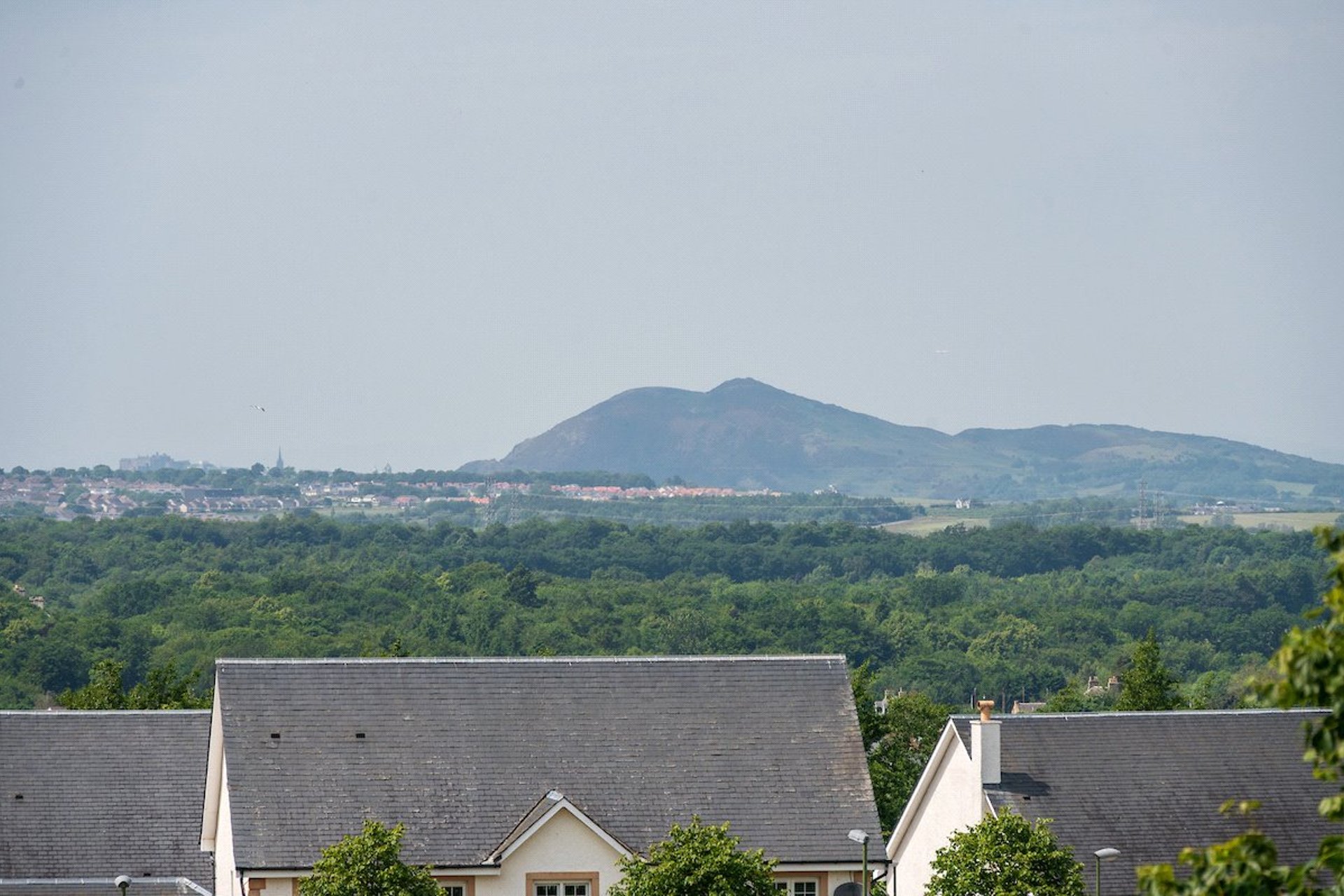 11 Magpie Gardens, Dalkeith, Midlothian, EH22 2RA - Picture #33