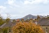 175 Craigleith Road, Edinburgh, EH4 2EB - Picture #33
