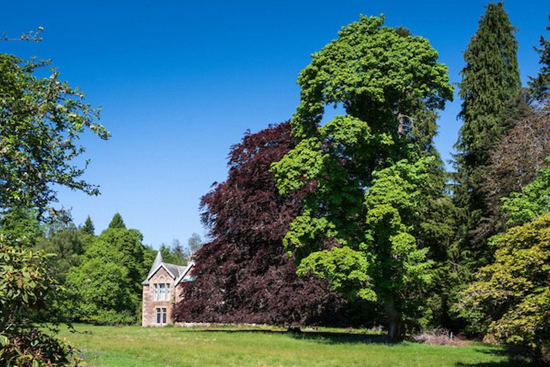 Drumearn House, The Ross, Comrie, Perthshire, PH6 2JR - Picture #11