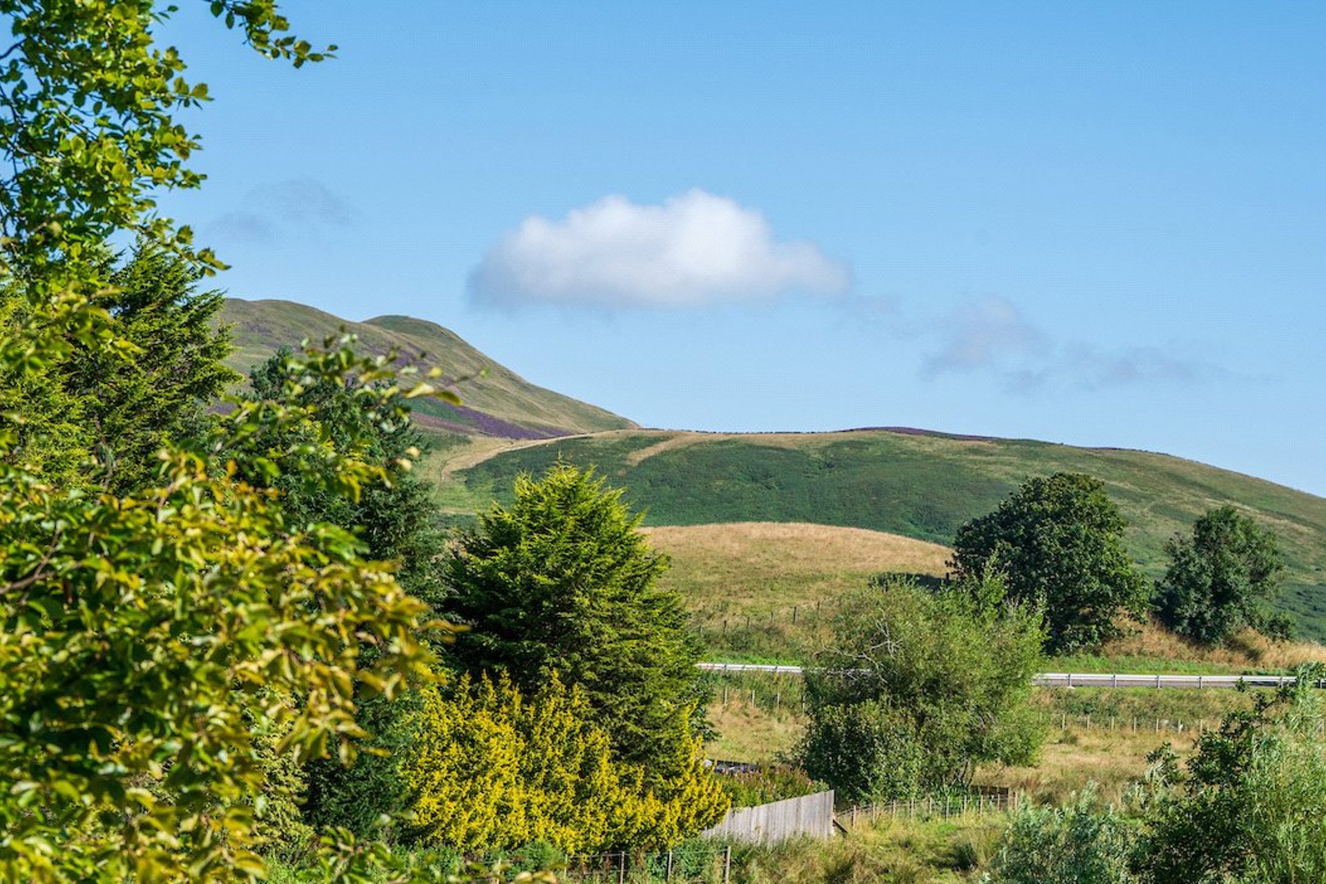 7 Hopelands Road, Silverburn, Penicuik, Midlothian, EH26 9LH - Picture #30