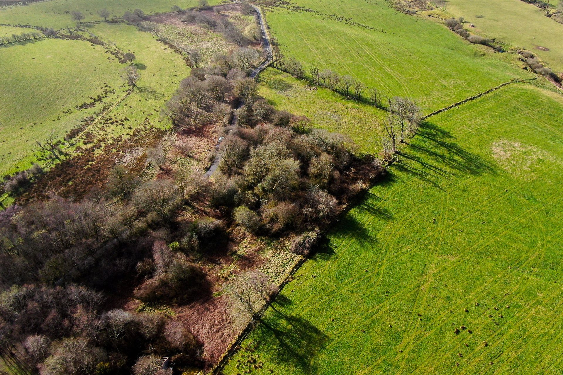 The Lands Of Westfieldhead, Auldhouse, East Kilbride, South Lanarkshire, G75 9DR - Picture #14