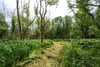 Plot At Dull, Dull, Aberfeldy, PH15 2JQ - Picture #7