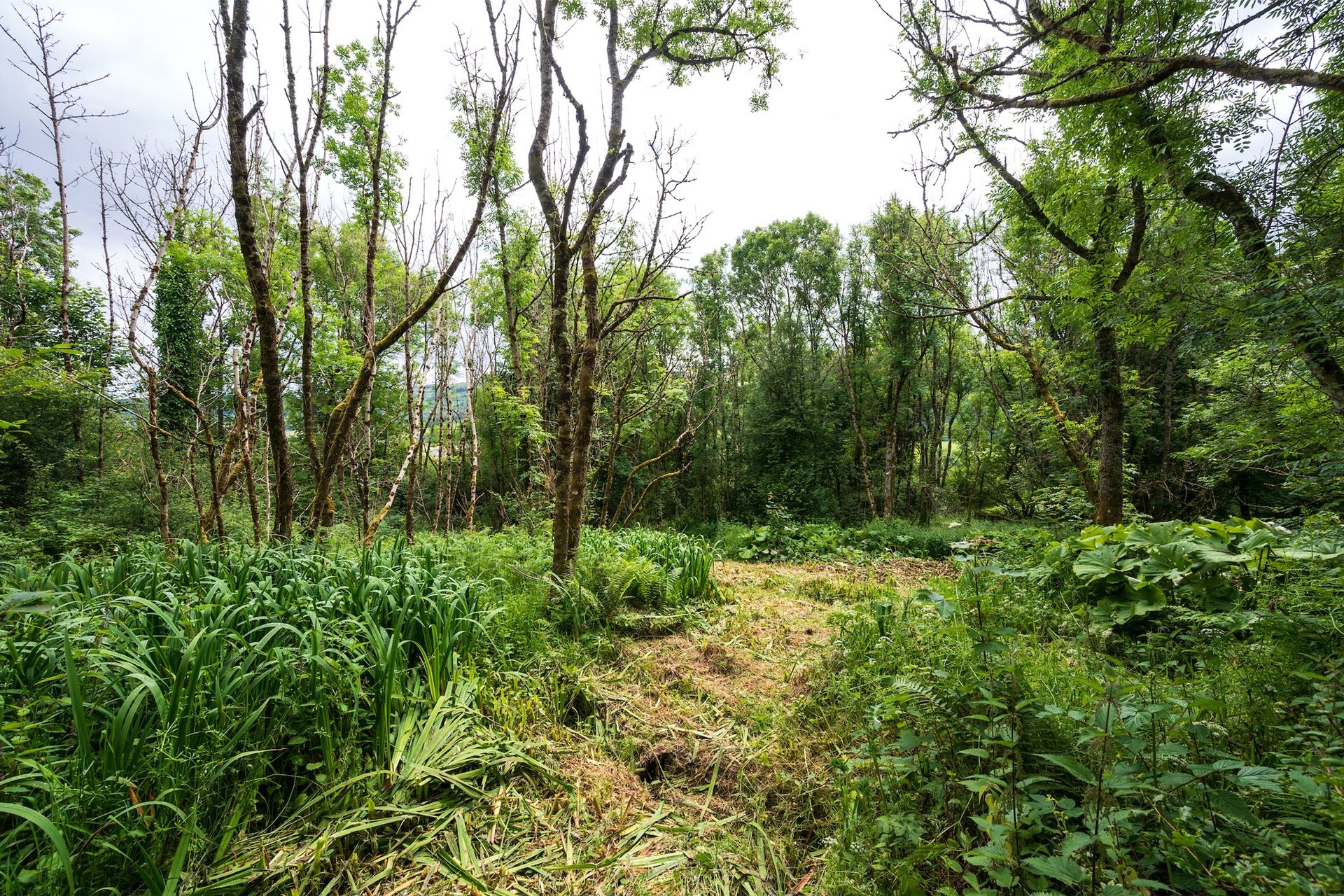 Plot At Dull, Dull, Aberfeldy, PH15 2JQ - Picture #7