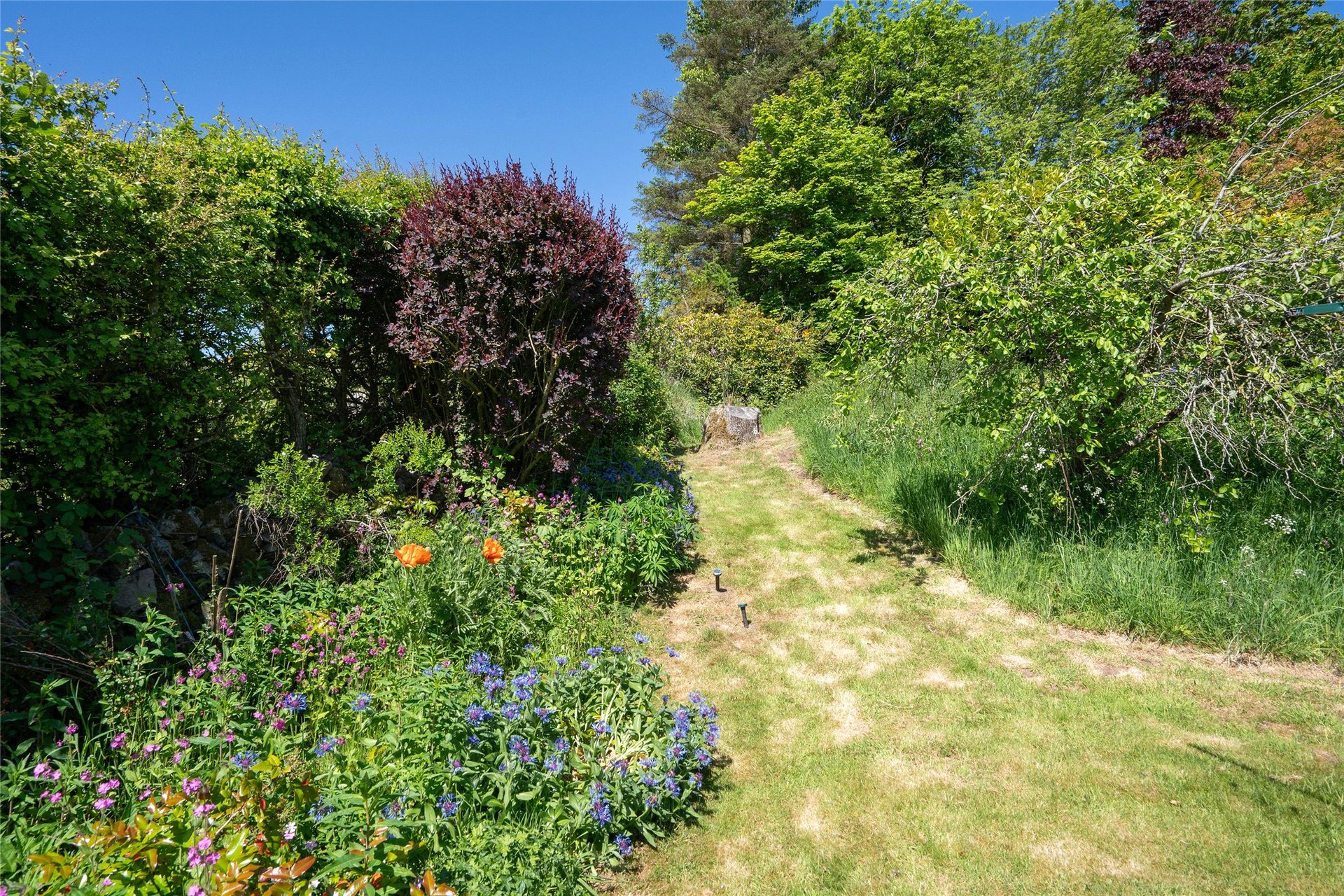 Brotherstone Cottage, Melrose, Scottish Borders, TD6 9DT - Picture #21