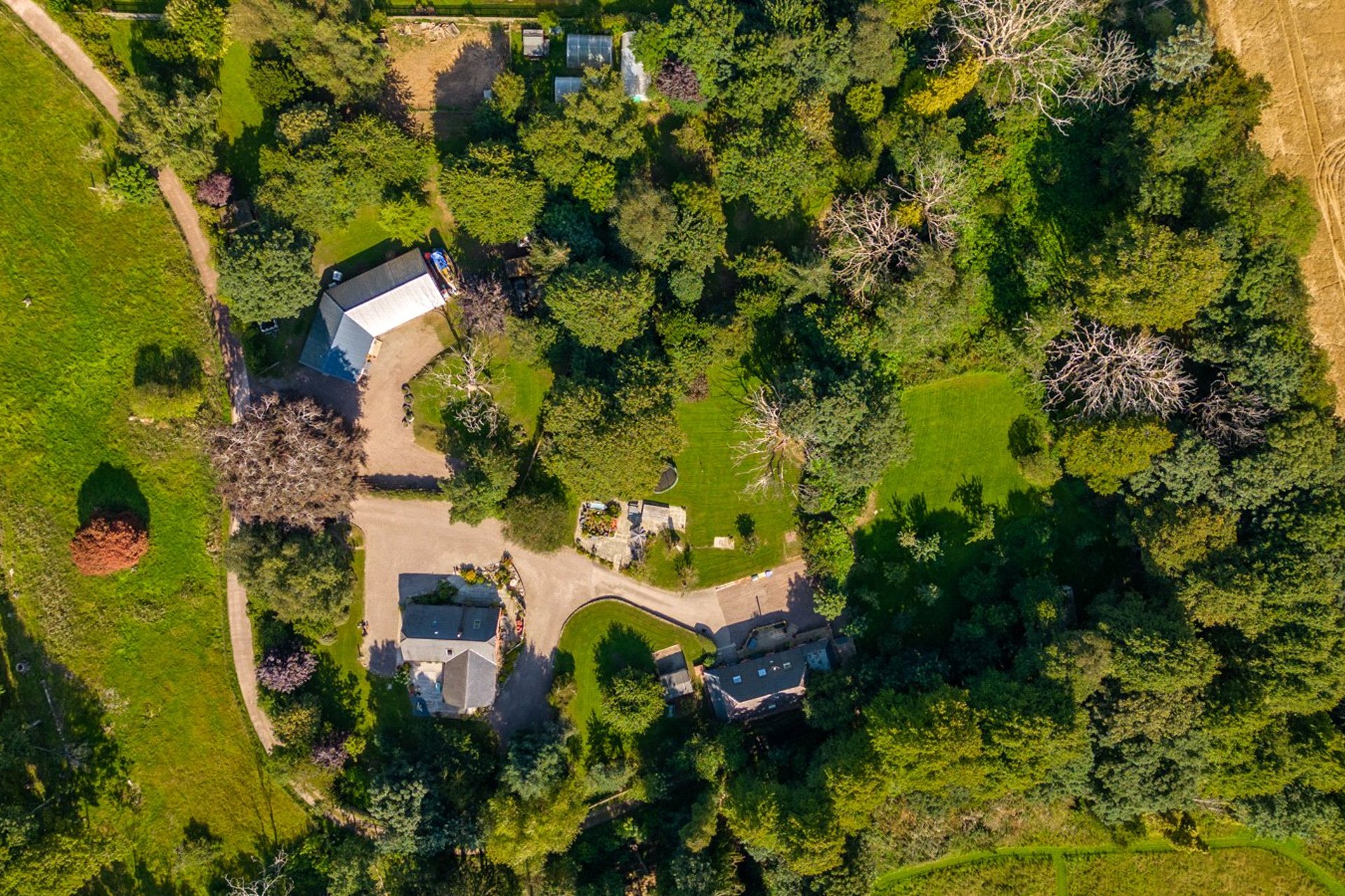 Castle Lodge, Lower Balconie, Evanton, Dingwall, Highland, IV16 9XG - Picture #4