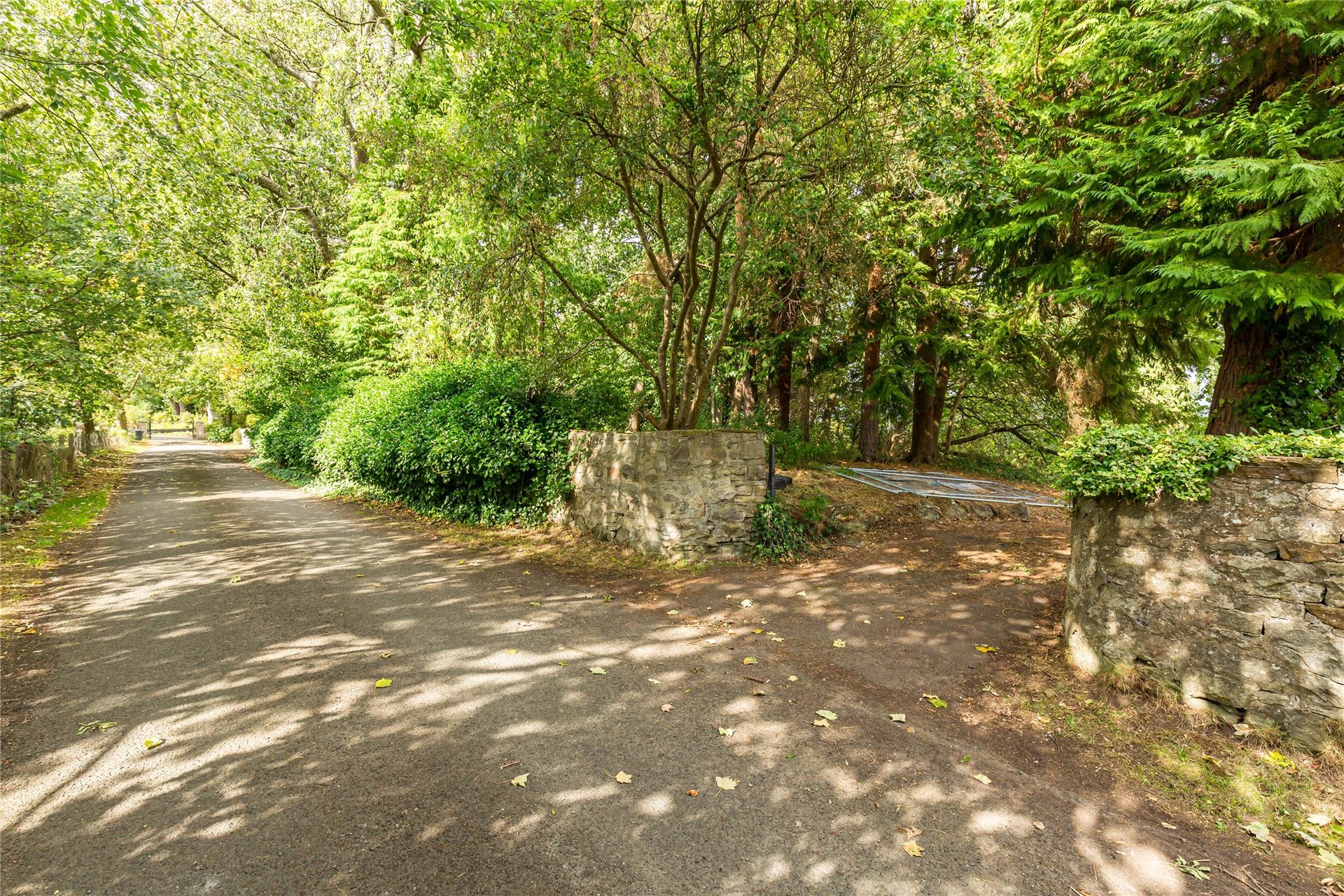16 Ravelston Dykes Road, Edinburgh, EH4 3PB - Picture #31