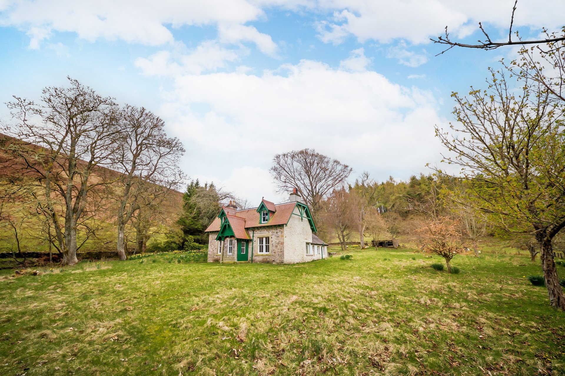 Valley Cottage, Innerleithen, Scottish Borders, EH44 6PX - Picture #19