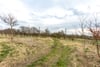 Greycraig Cottage, Kirtlebridge, Lockerbie, Dumfries and Galloway, DG11 3LN - Picture #19