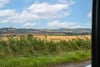 3 Mount Farm Cottage, Cupar, Fife, KY15 4NA - Picture #19