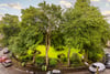 Top Floor, 12 Belmont Crescent, Kelvinbridge, Glasgow, G12 8EU - Picture #6