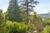 Tigh Geal, Station Road, Rhu, Helensburgh, Argyll and Bute, G84 8LW - Picture #8