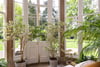 Preston House, Preston Road, Linlithgow, West Lothian, EH49 6QW - Picture #11