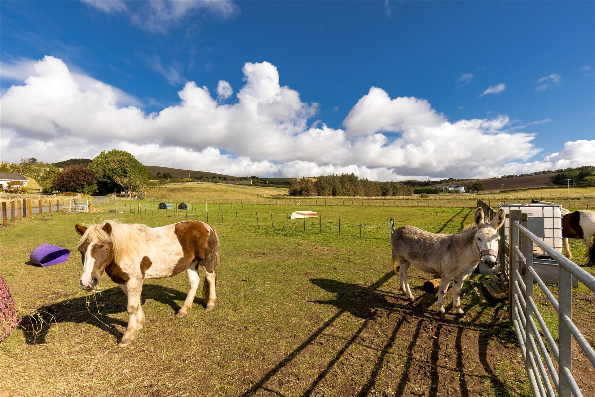 Borthwick Farmhouse, Borthwick, Midlothian, EH23 4QZ - Picture #29