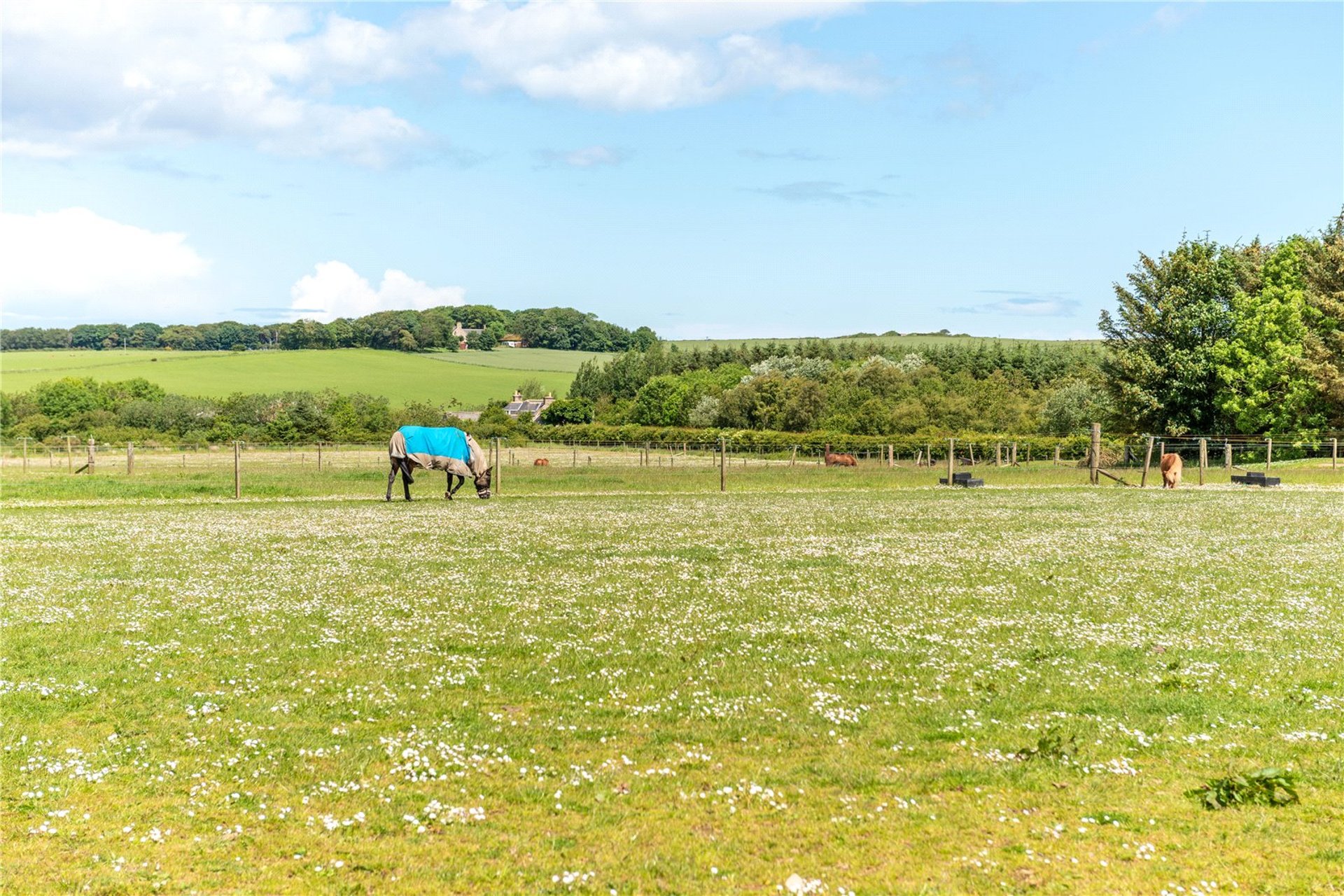 The Stables, Balhagan Equestrian, Bruntyards, Banff, AB45 3QT - Picture #14