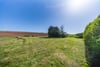Whitehillfoot Farmhouse, Kelso, Scottish Borders, TD5 8LB - Picture #28
